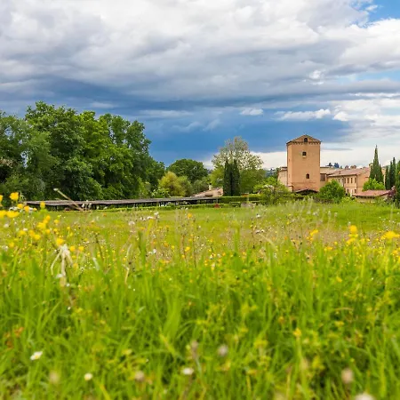 Locazione Turistica The Nest *